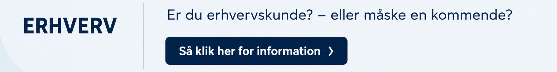 Erhverv Banner 6 X 1 Scidata